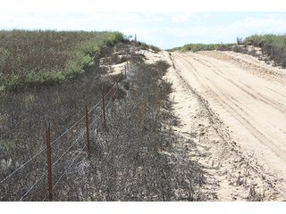 Property photo 81 - LAND AUCTION, 3255+/- Acres offered in 13 Tracts